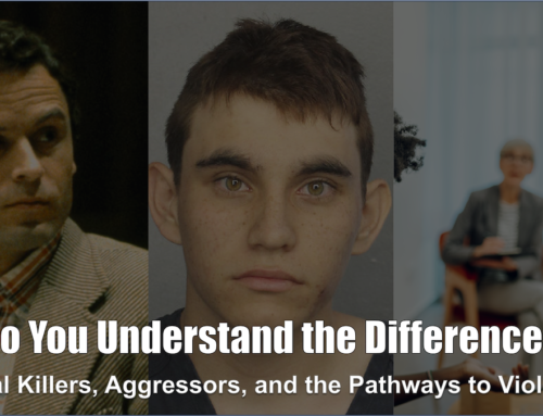 Do You Understand the Difference? Serial Killers, Aggressors, and the Pathways to Violence